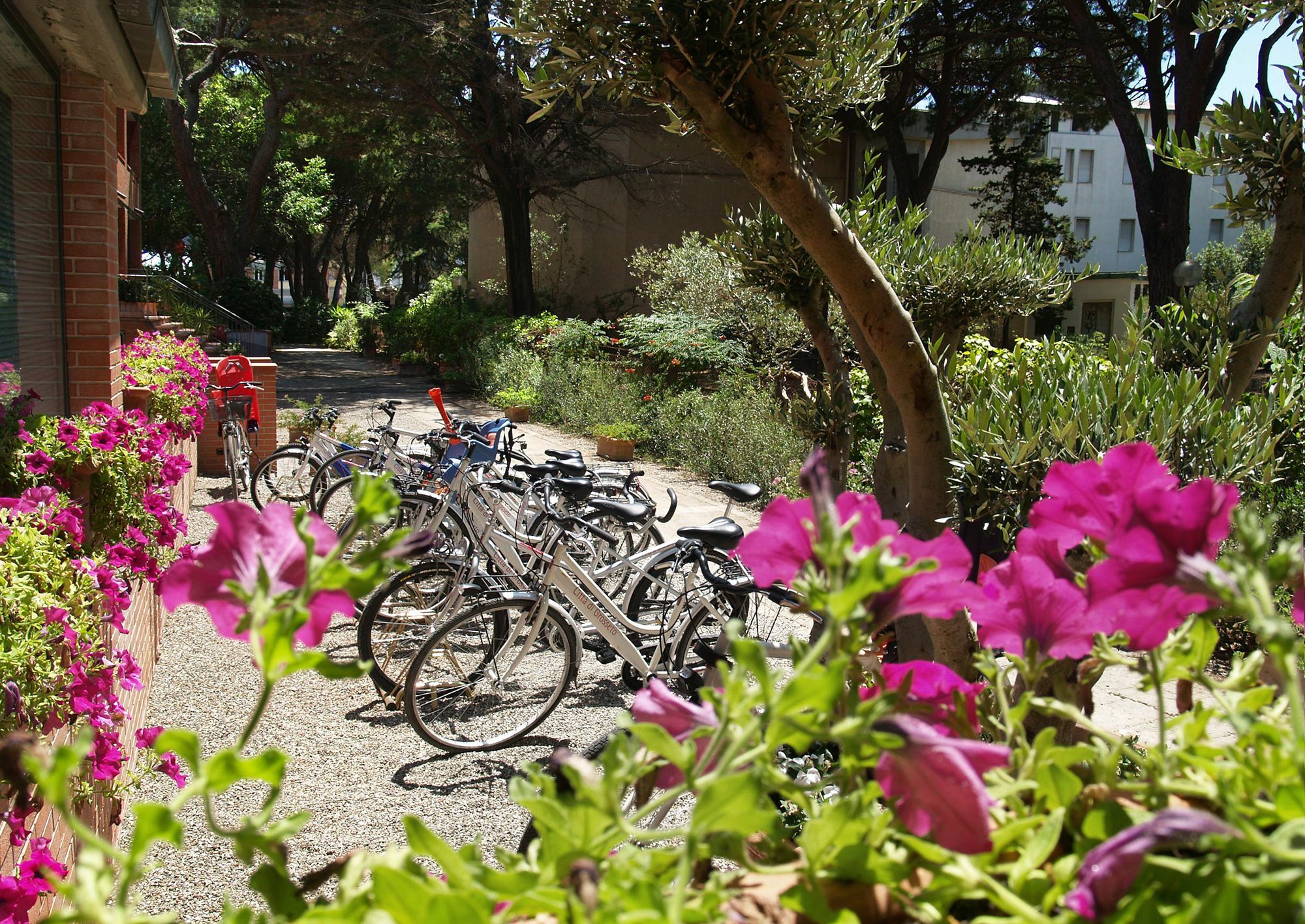 Ricci Hotel - Marina Di Grosseto Exterior photo